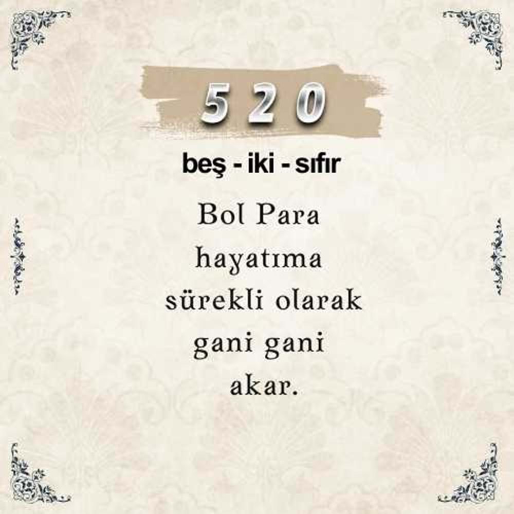 520 Para Sayı Sekansı Anahtarlık M2