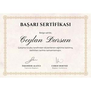Altın Sarısı Etnik Minimalist Diploma Başarı Sertifikası ( A4 - 300 gr )