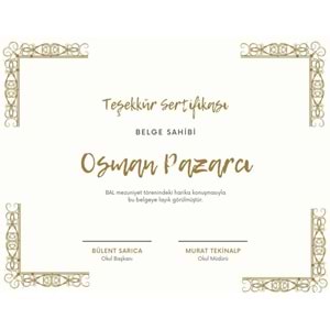 Şampanya Altın Dekoratif Çerçeve Teşekkür Sertifika ( A4 - 300 gr )