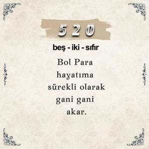 520 Para Sayı Sekansı Anahtarlık M2