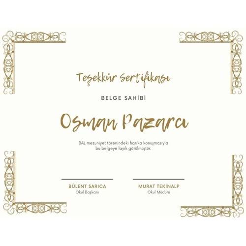Şampanya Altın Dekoratif Çerçeve Teşekkür Sertifika
