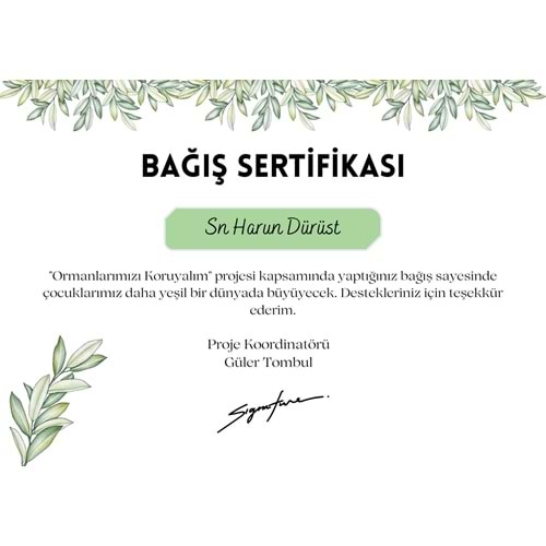 Sertifika baskı ( A4 - 300 gr )