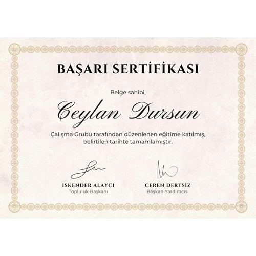 Altın Sarısı Etnik Minimalist Diploma Başarı Sertifikası ( A4 - 120 gr )