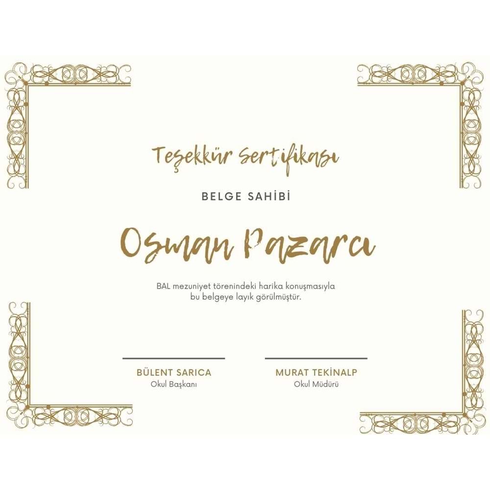 Şampanya Altın Dekoratif Çerçeve Teşekkür Sertifika ( A4 - 300 gr )