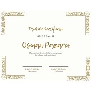 Şampanya Altın Dekoratif Çerçeve Teşekkür Sertifika ( A4 - 300 gr )