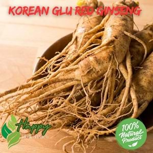 korean glu red ginseng happy patch set2