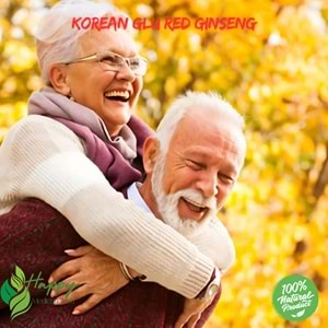 korean glu red ginseng happy patch set4