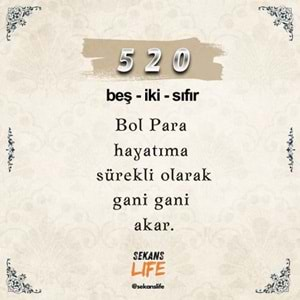 520 Para Sekansı Anahtarlık M2