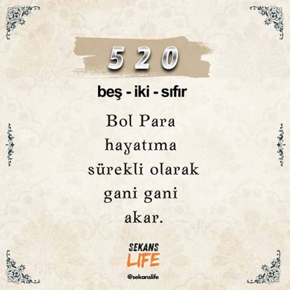 520 Para Sekansı Anahtarlık M1